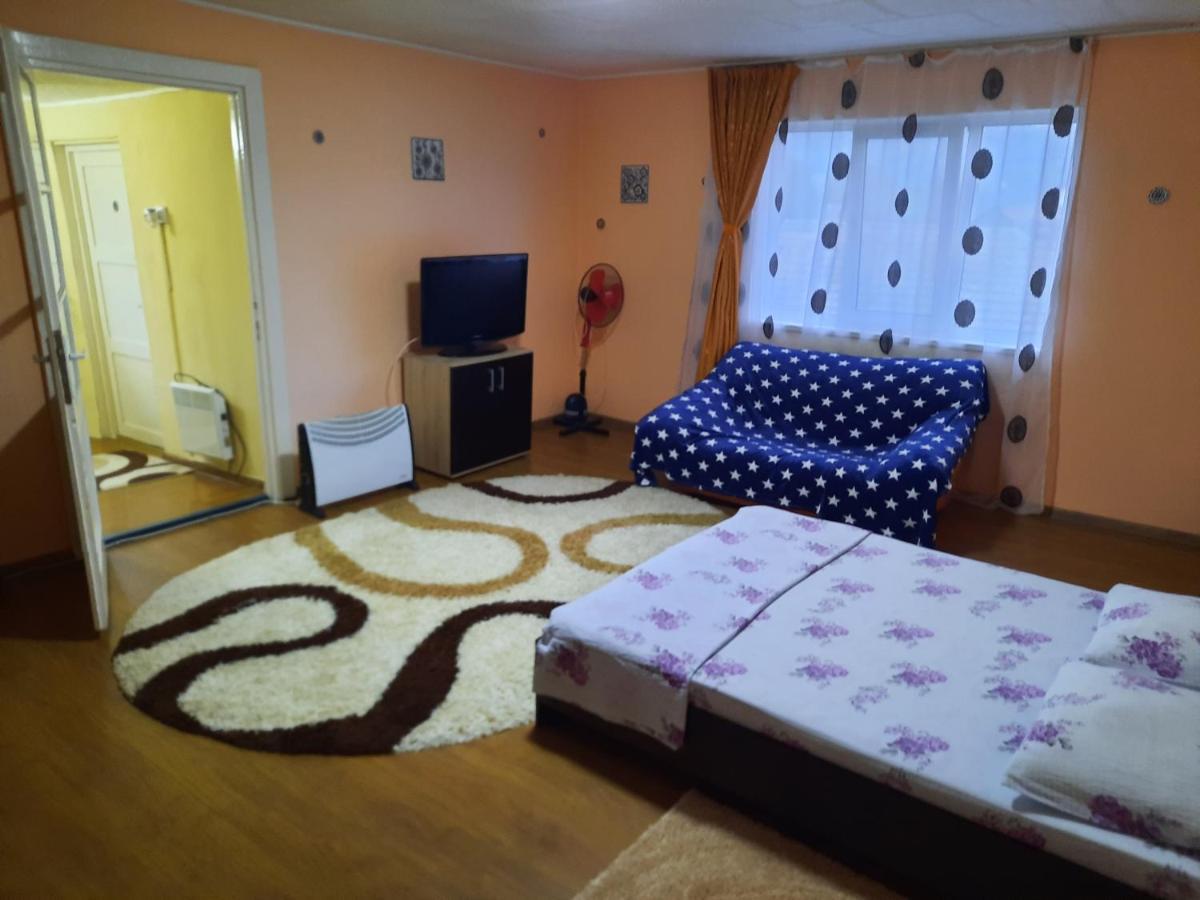 Vila La Izvorul Putinei Haţeg Extérieur photo