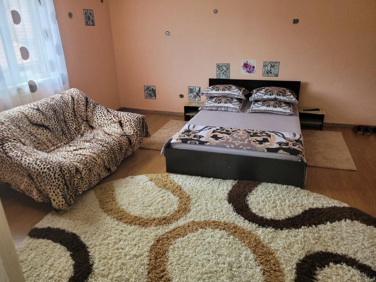 Vila La Izvorul Putinei Haţeg Extérieur photo
