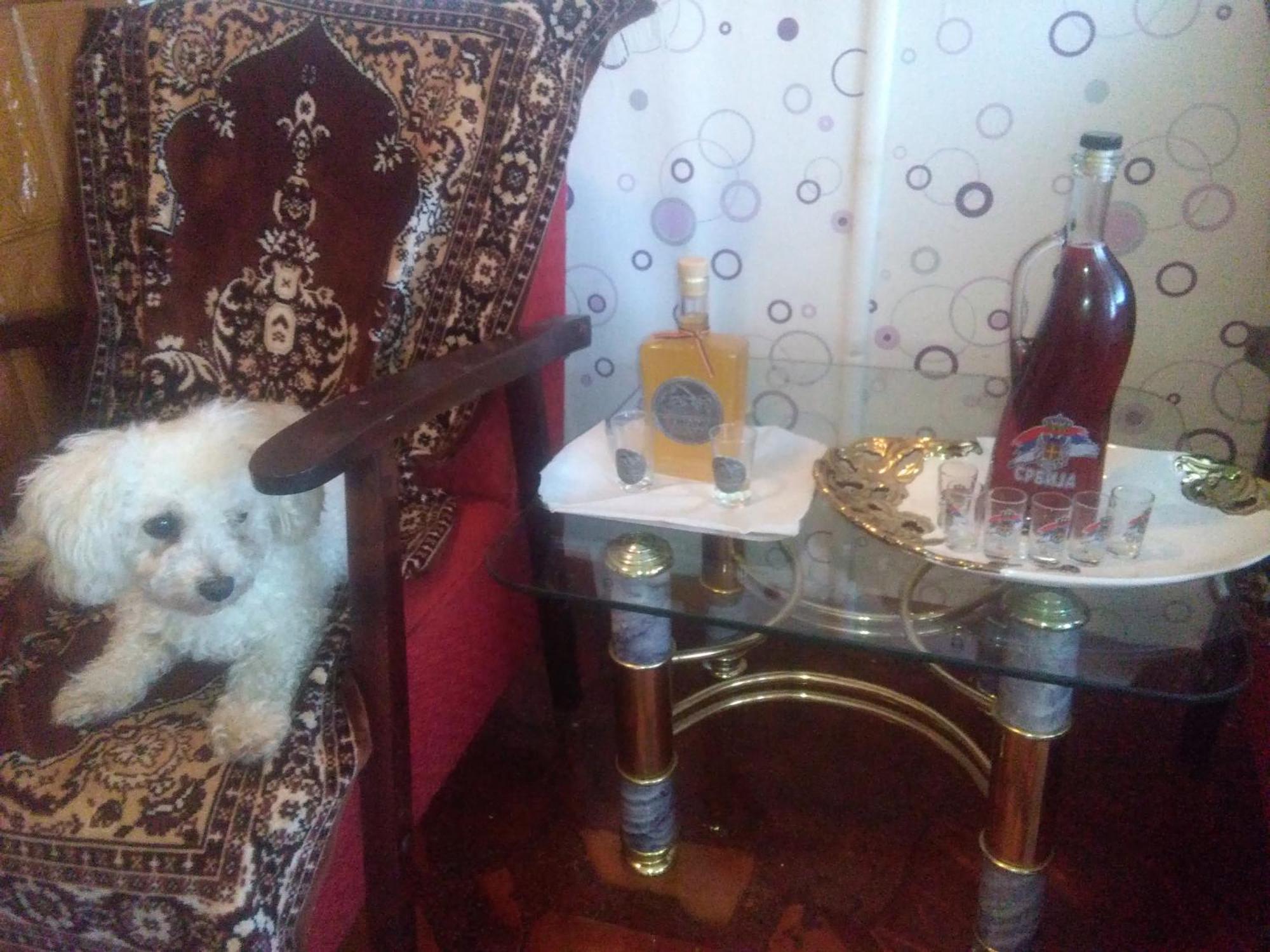 Vila La Izvorul Putinei Haţeg Extérieur photo