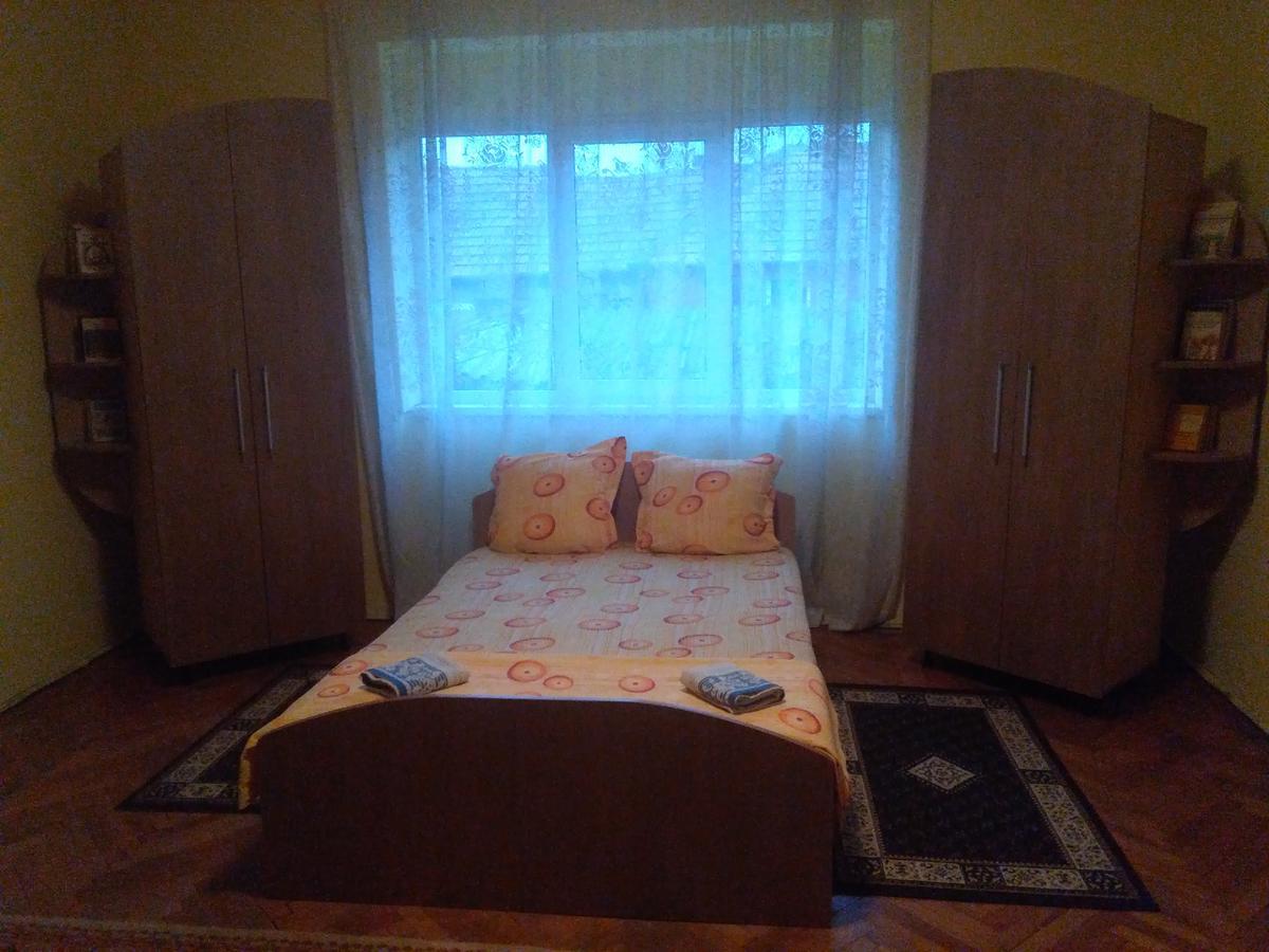 Vila La Izvorul Putinei Haţeg Extérieur photo