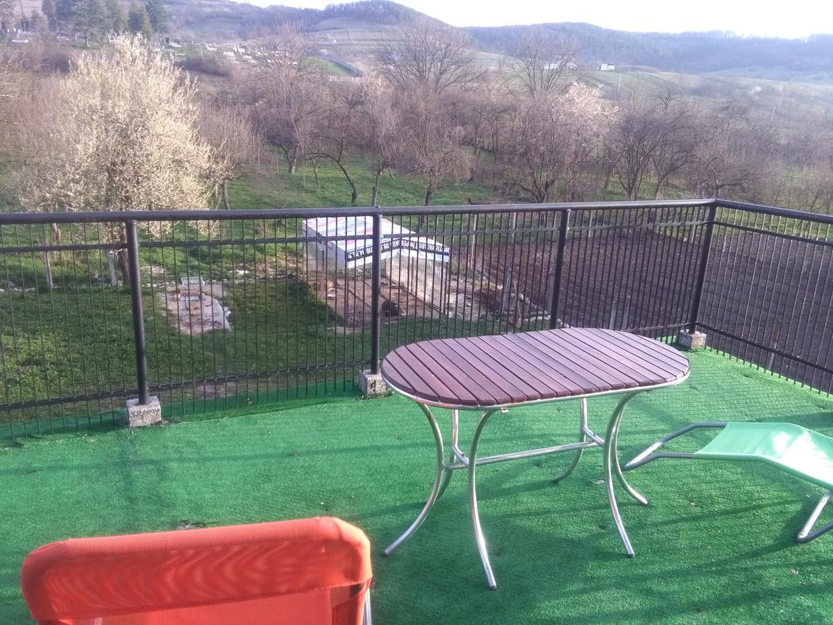 Vila La Izvorul Putinei Haţeg Extérieur photo