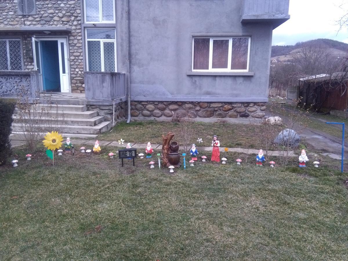 Vila La Izvorul Putinei Haţeg Extérieur photo