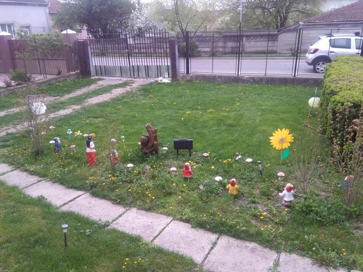 Vila La Izvorul Putinei Haţeg Extérieur photo