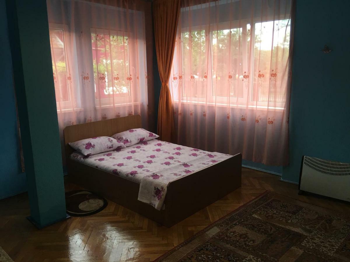 Vila La Izvorul Putinei Haţeg Extérieur photo