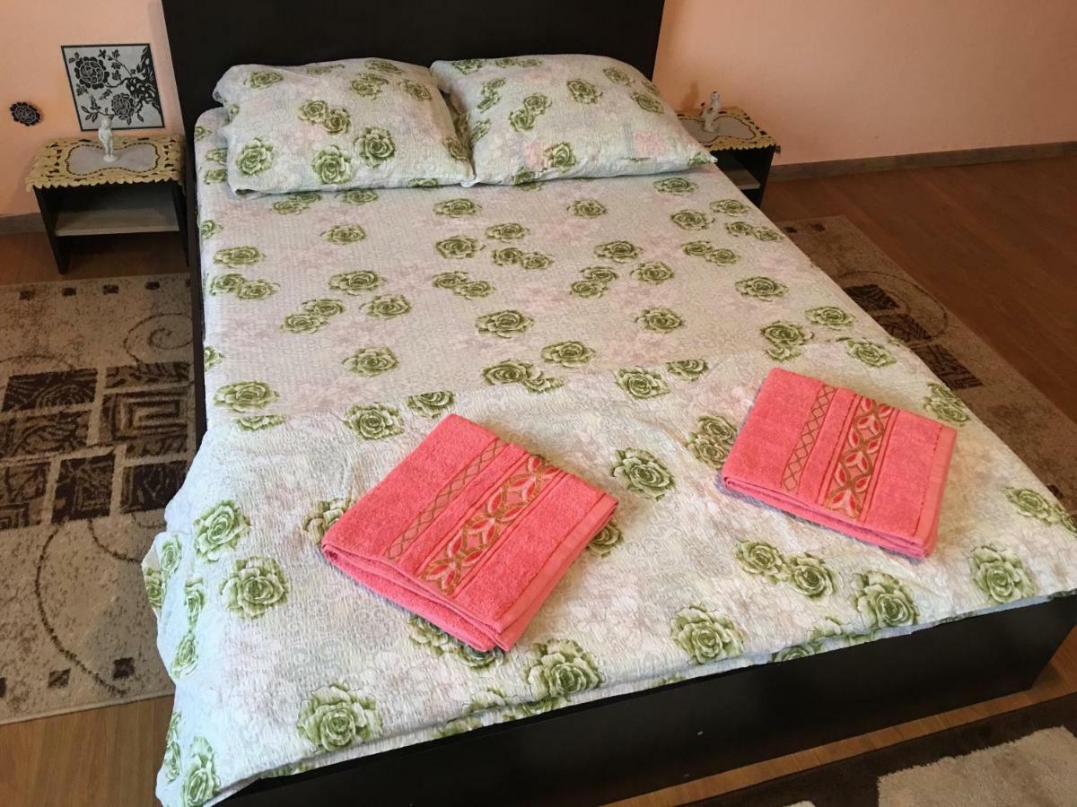 Vila La Izvorul Putinei Haţeg Extérieur photo