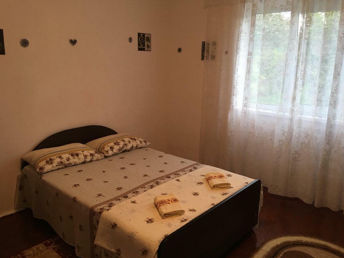 Vila La Izvorul Putinei Haţeg Extérieur photo
