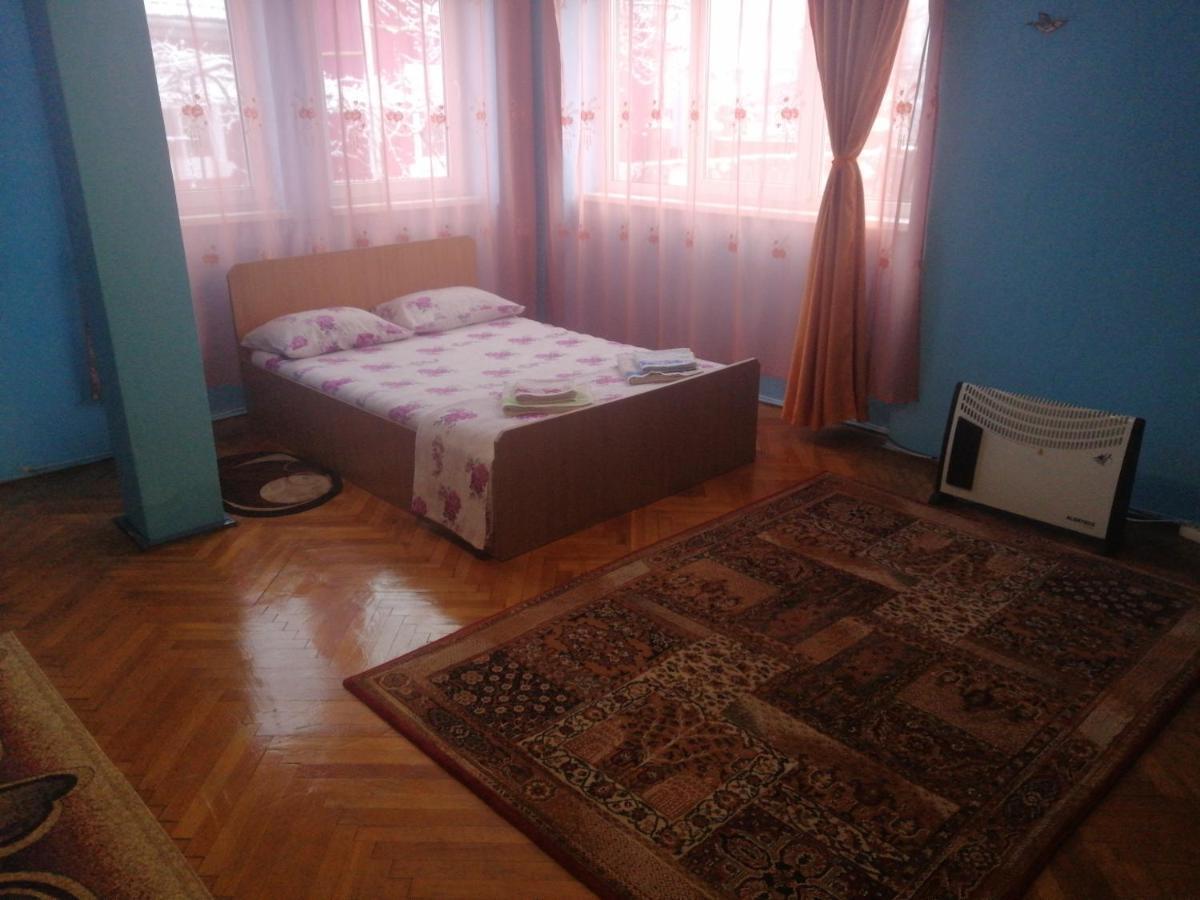 Vila La Izvorul Putinei Haţeg Extérieur photo